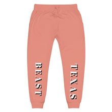 Load image into Gallery viewer, Unisex fleece sweatpants
