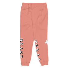 Load image into Gallery viewer, Unisex fleece sweatpants
