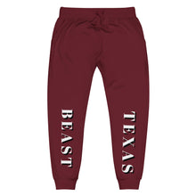 Load image into Gallery viewer, Unisex fleece sweatpants
