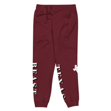 Load image into Gallery viewer, Unisex fleece sweatpants
