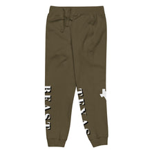 Load image into Gallery viewer, Unisex fleece sweatpants
