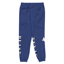 Load image into Gallery viewer, Unisex fleece sweatpants

