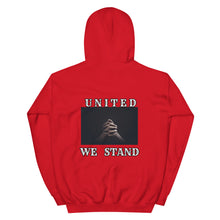 Load image into Gallery viewer, Hoodie /Divided We Fall Unisex Hoodie
